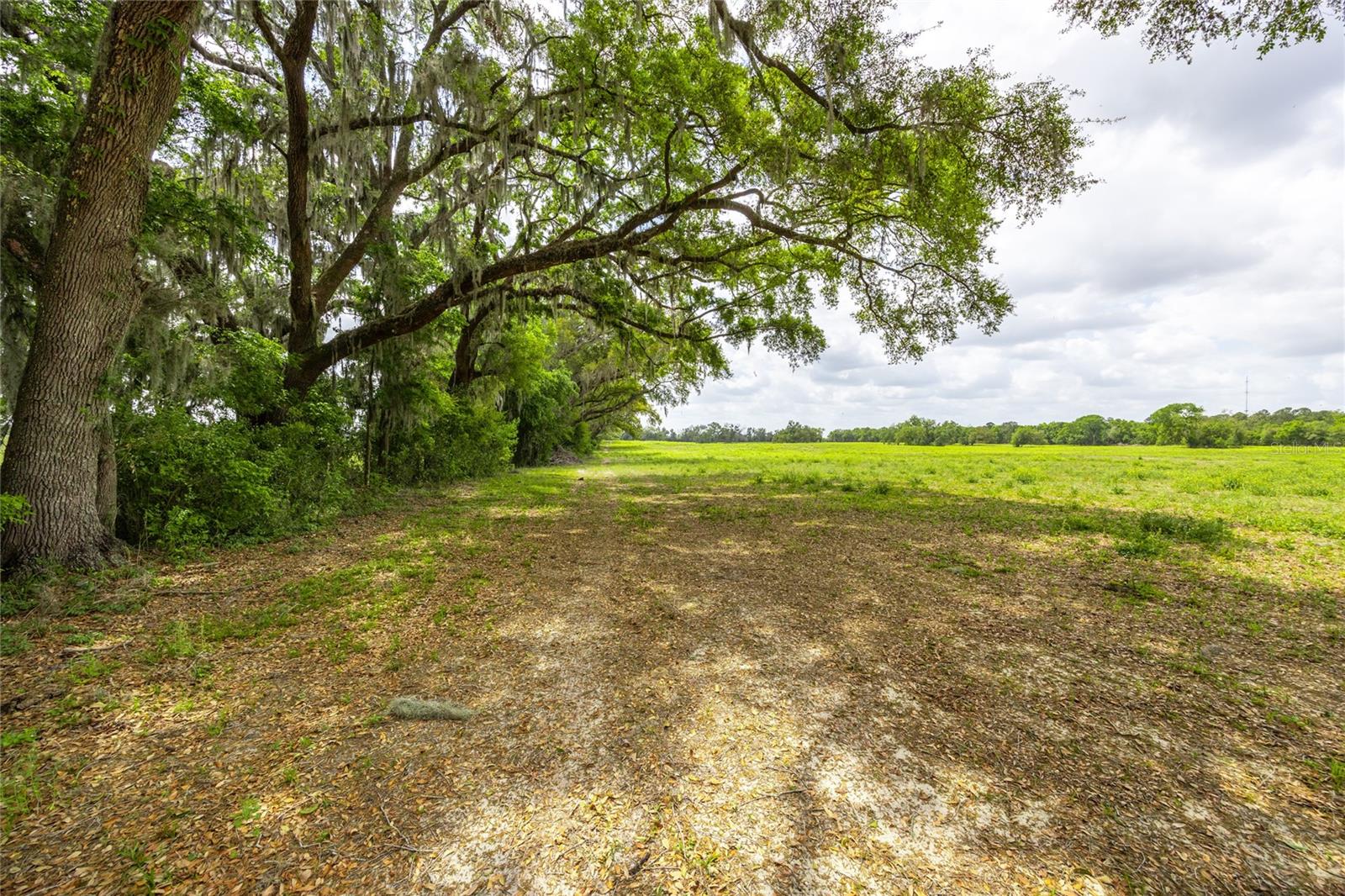 TBD SW 220TH DRIVE