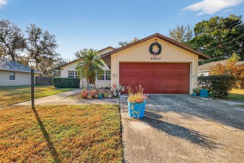 Photo of 40007 Parkinsonia Street, Lady Lake, FL 32159 (MLS # G5104766)