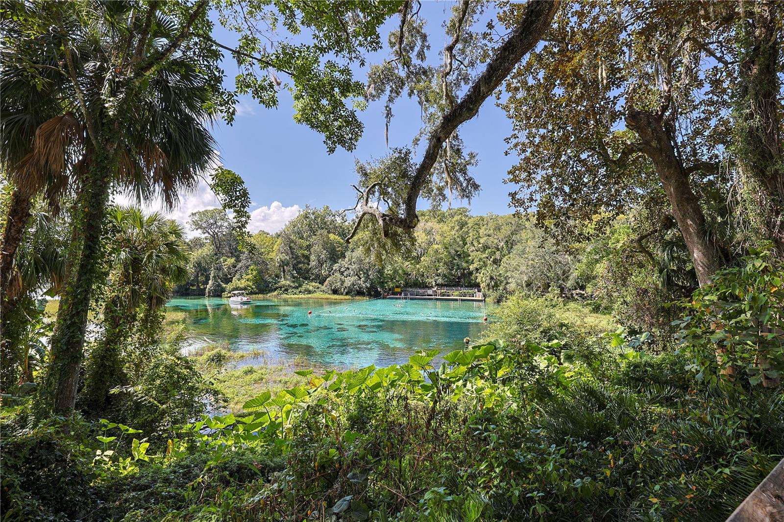 RAINBOW SPRINGS CC - Residential