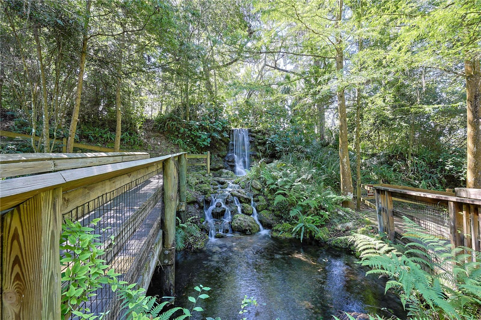 RAINBOW SPRINGS CC - Residential