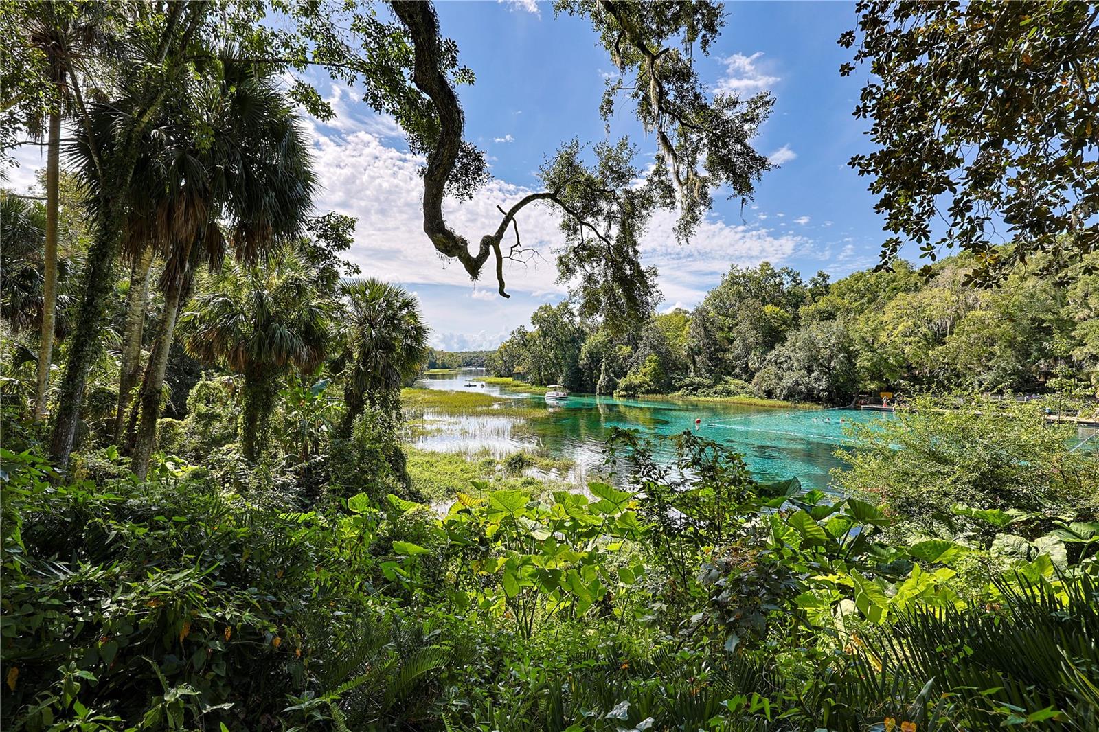RAINBOW SPRINGS CC - Residential