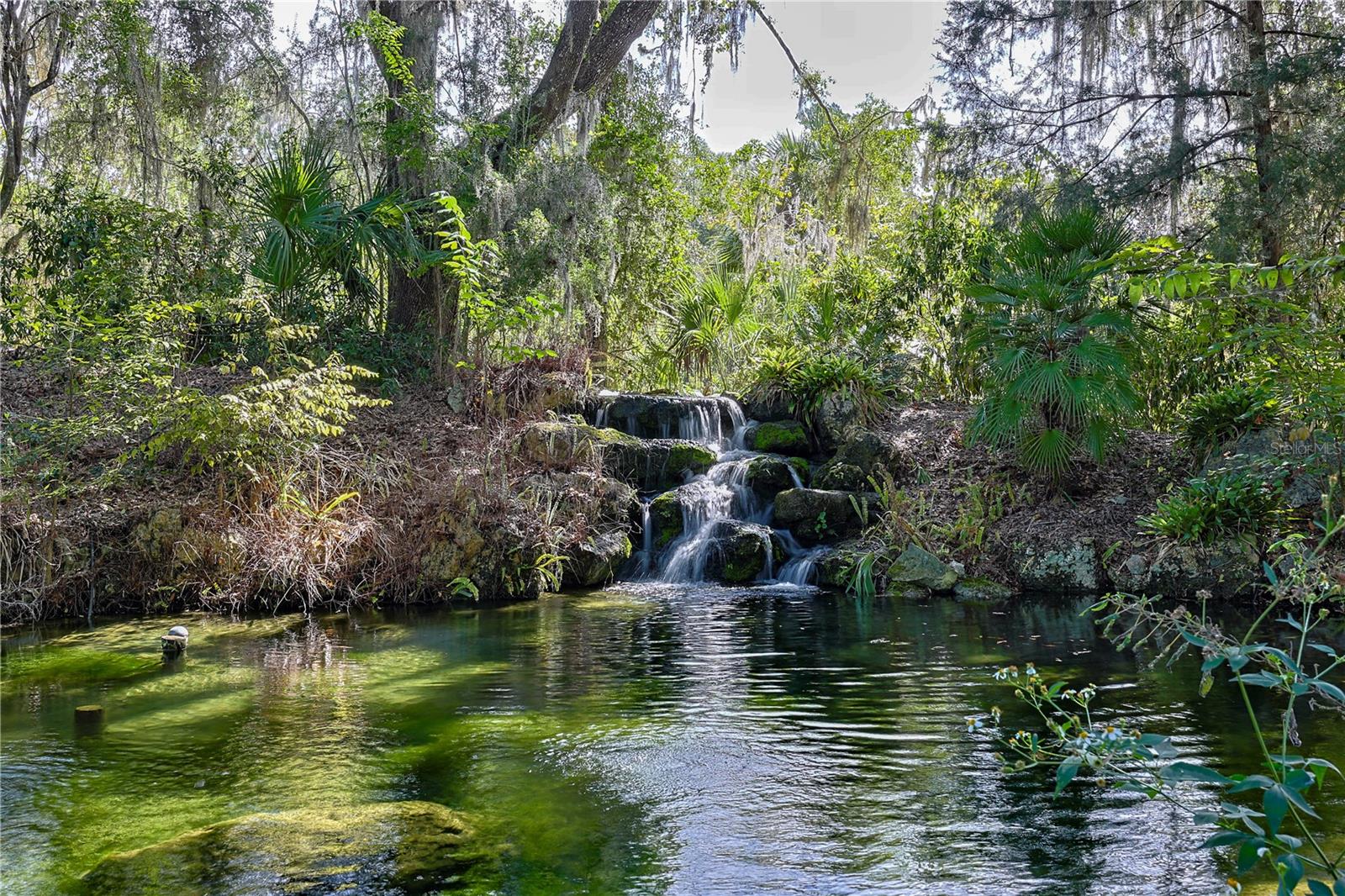 RAINBOW SPRINGS CC - Residential