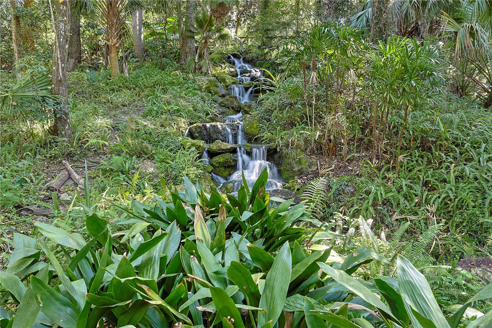RAINBOW SPRINGS CC - Residential
