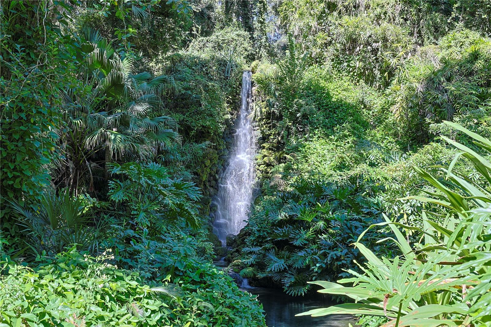 RAINBOW SPRINGS CC - Residential