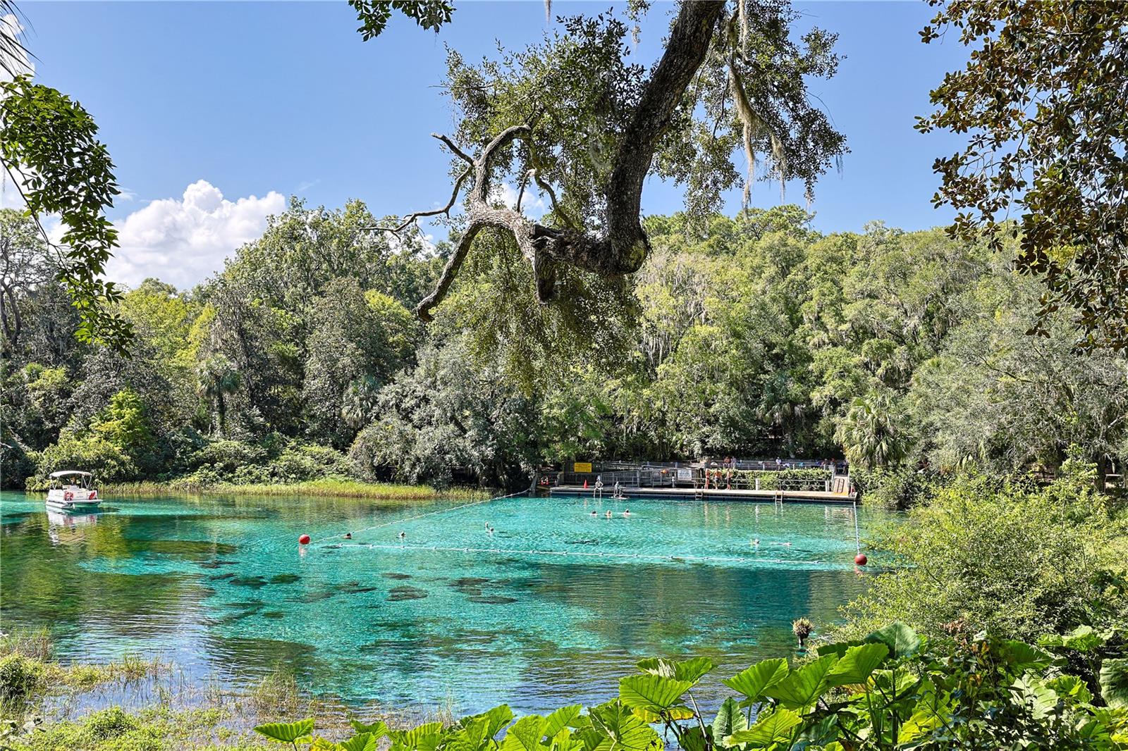 RAINBOW SPRINGS CC - Residential