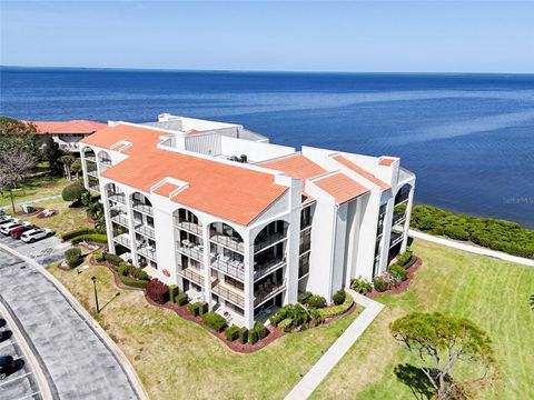 433 MARINER DRIVE 433 TARPON SPRINGS FL 34689