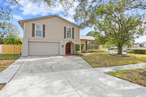 A home in TAMPA