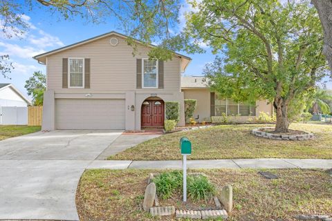 A home in TAMPA