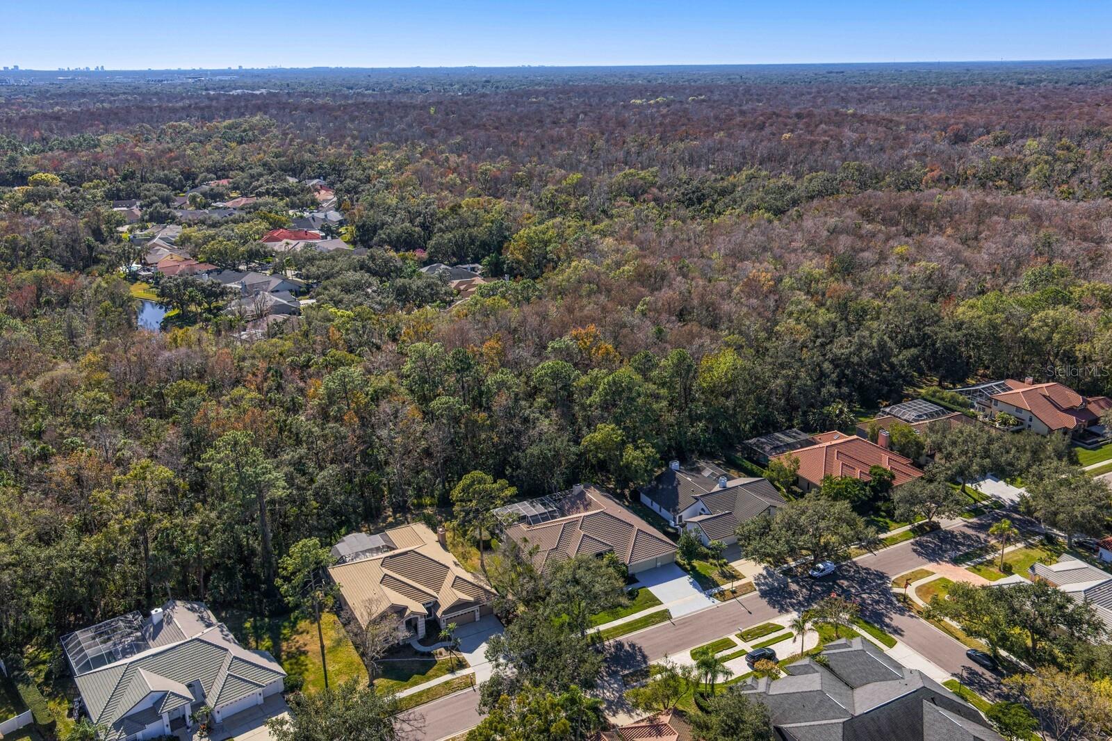 TAMPA PALMS AREA 2 UNIT 7D - Residential