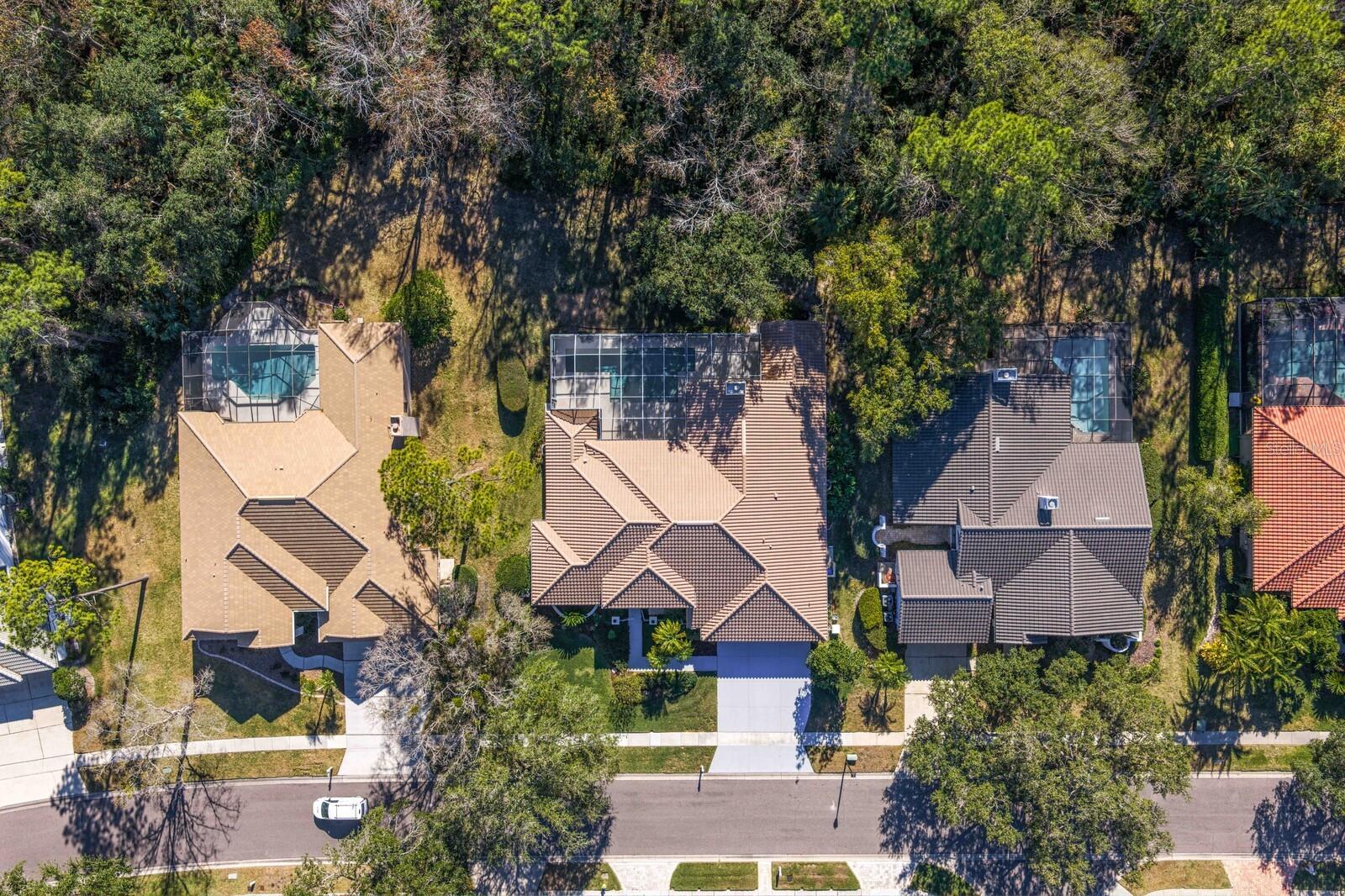 TAMPA PALMS AREA 2 UNIT 7D - Residential