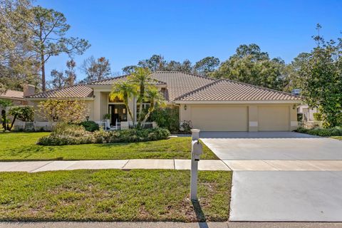4917 LONDONDERRY DRIVE TAMPA FL 33647