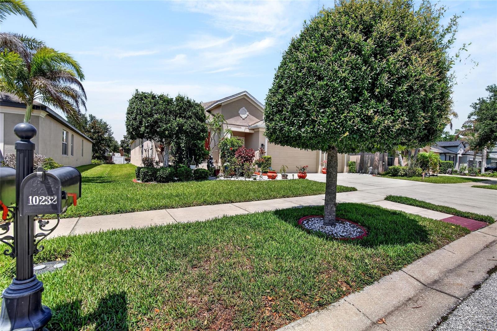 AVELAR CREEK NORTH - Residential