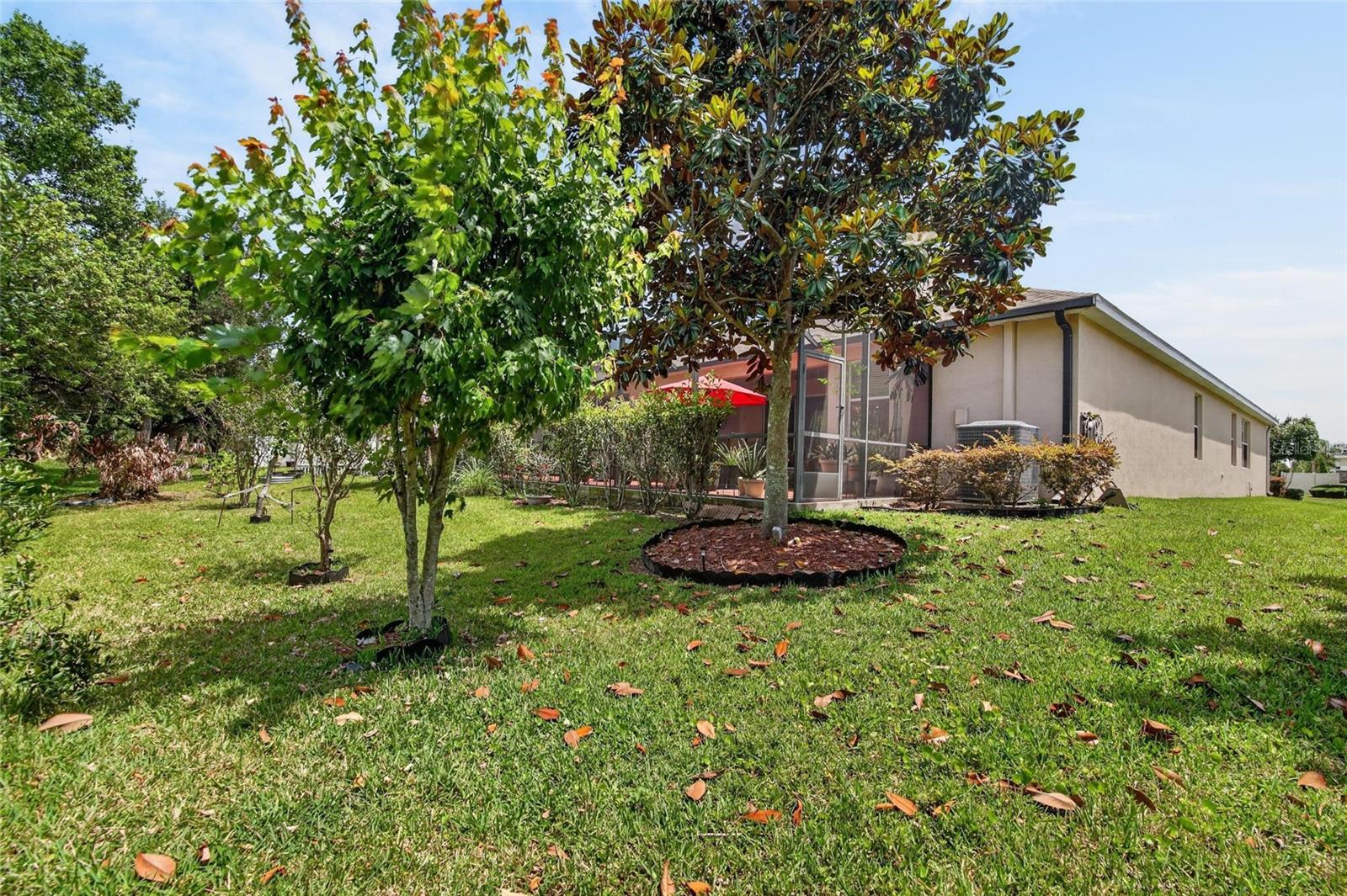 AVELAR CREEK NORTH - Residential