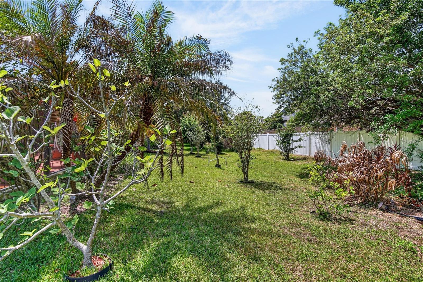 AVELAR CREEK NORTH - Residential