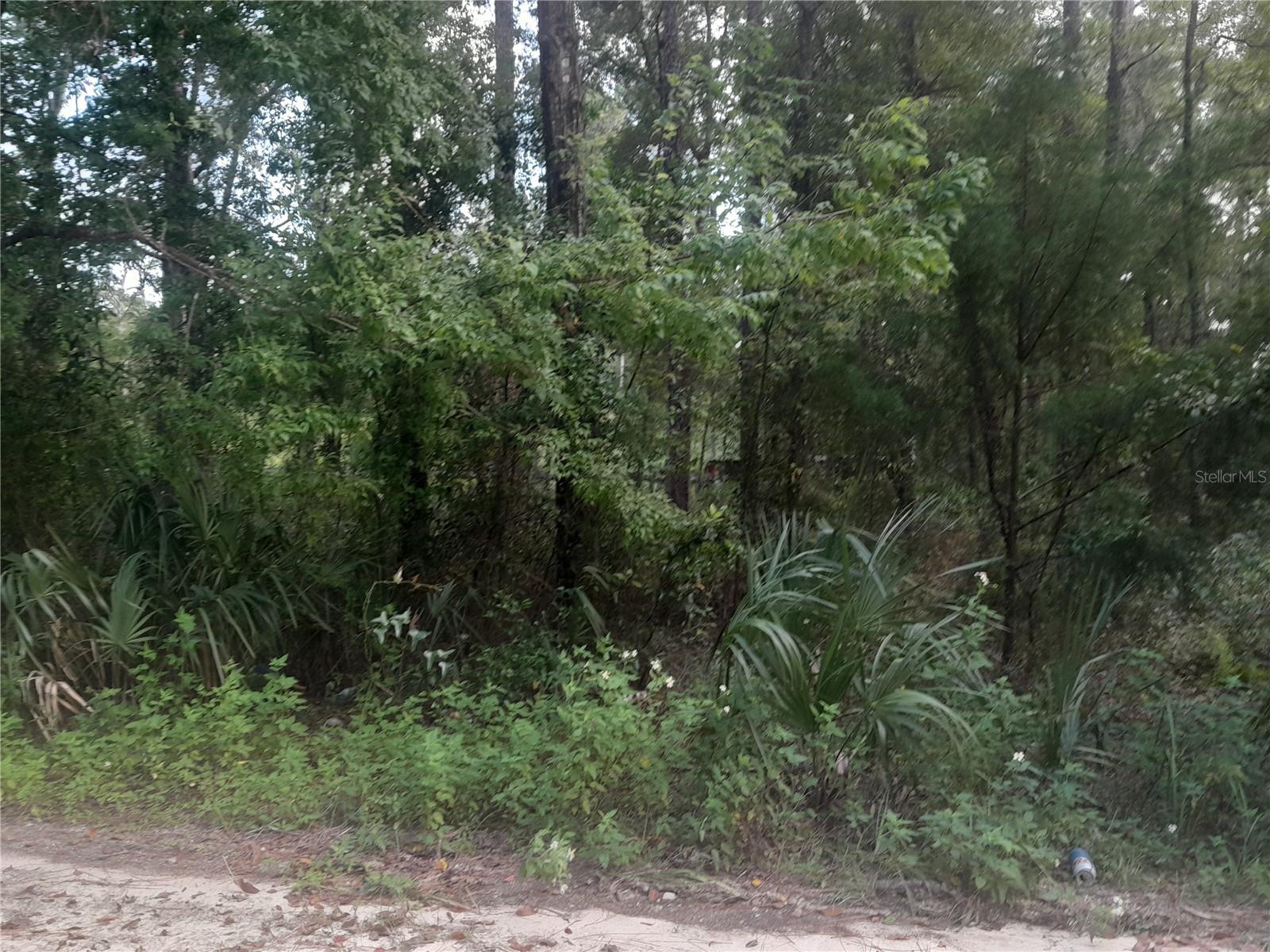 WOODED .32 ACRE CORNER LOT PERFECT FOR YOUR NEW MANUFACTURED HOME. Site built homes are also allowed. All measurements are from property appraiser site. Just off of Hwy. Alt. 27 and near the Marathon Gas Station. Williston and Bronson are within a 15 min. drive for groceries, gas, salons, schools, churches restaurants etc. WEC and HITS are within 30 min for horse events. This is your chance for country living! Come see it today!