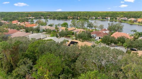 A home in TAMPA