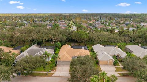 A home in TAMPA