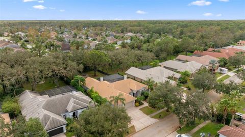 A home in TAMPA