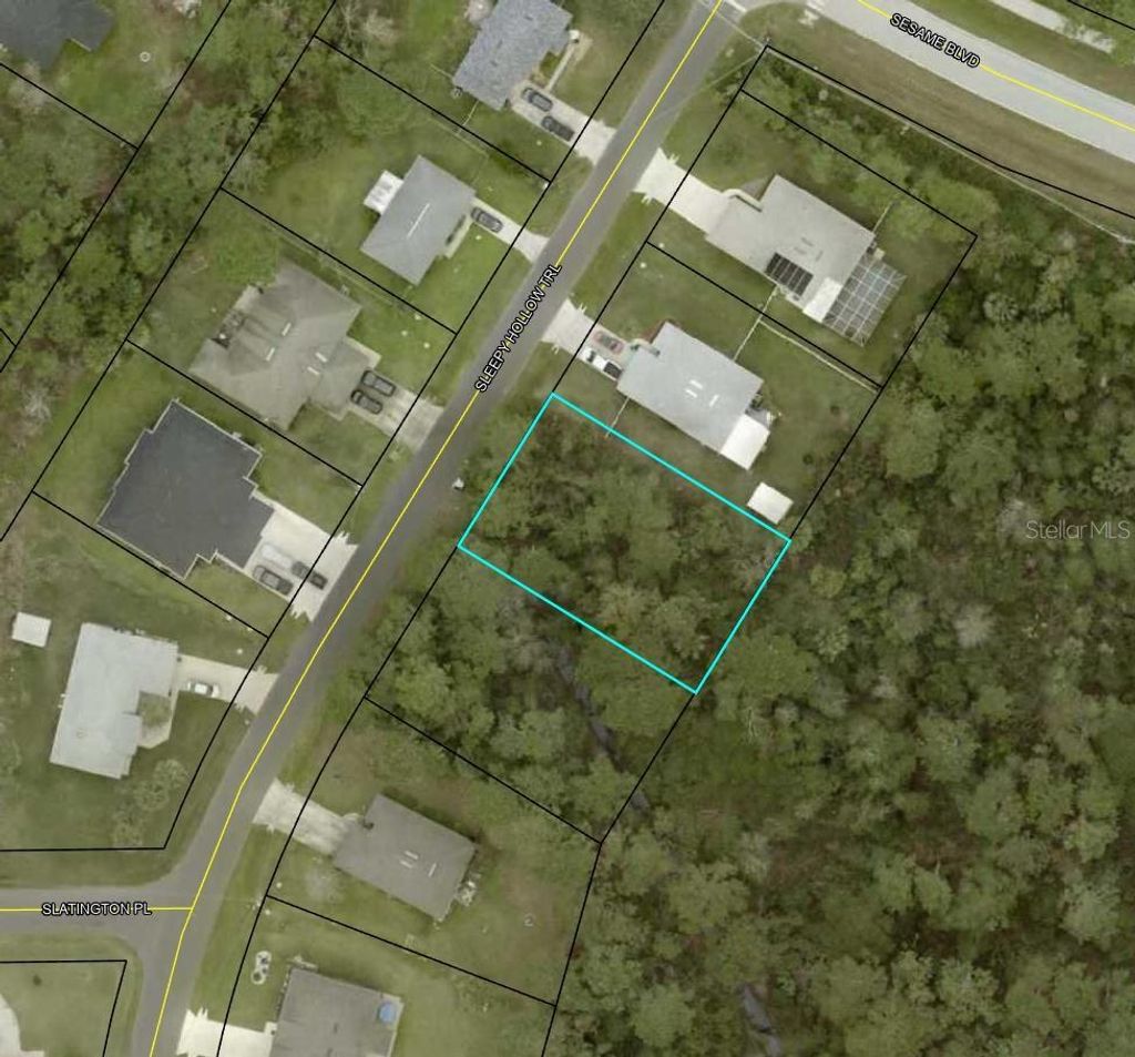 Photo of 5 Sleepy Hollow Trail, Palm Coast, FL 32164 (MLS # TB8483638)