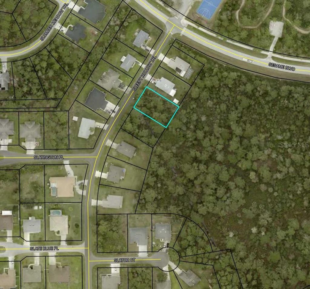 Photo of 5 Sleepy Hollow Trail, Palm Coast, FL 32164 (MLS # TB8483638)