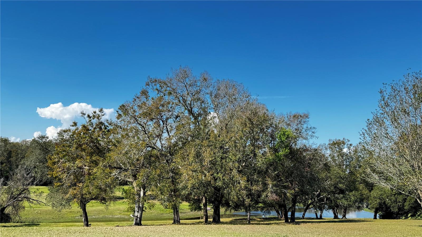 BANBURY VILLAGE CONDO - Residential