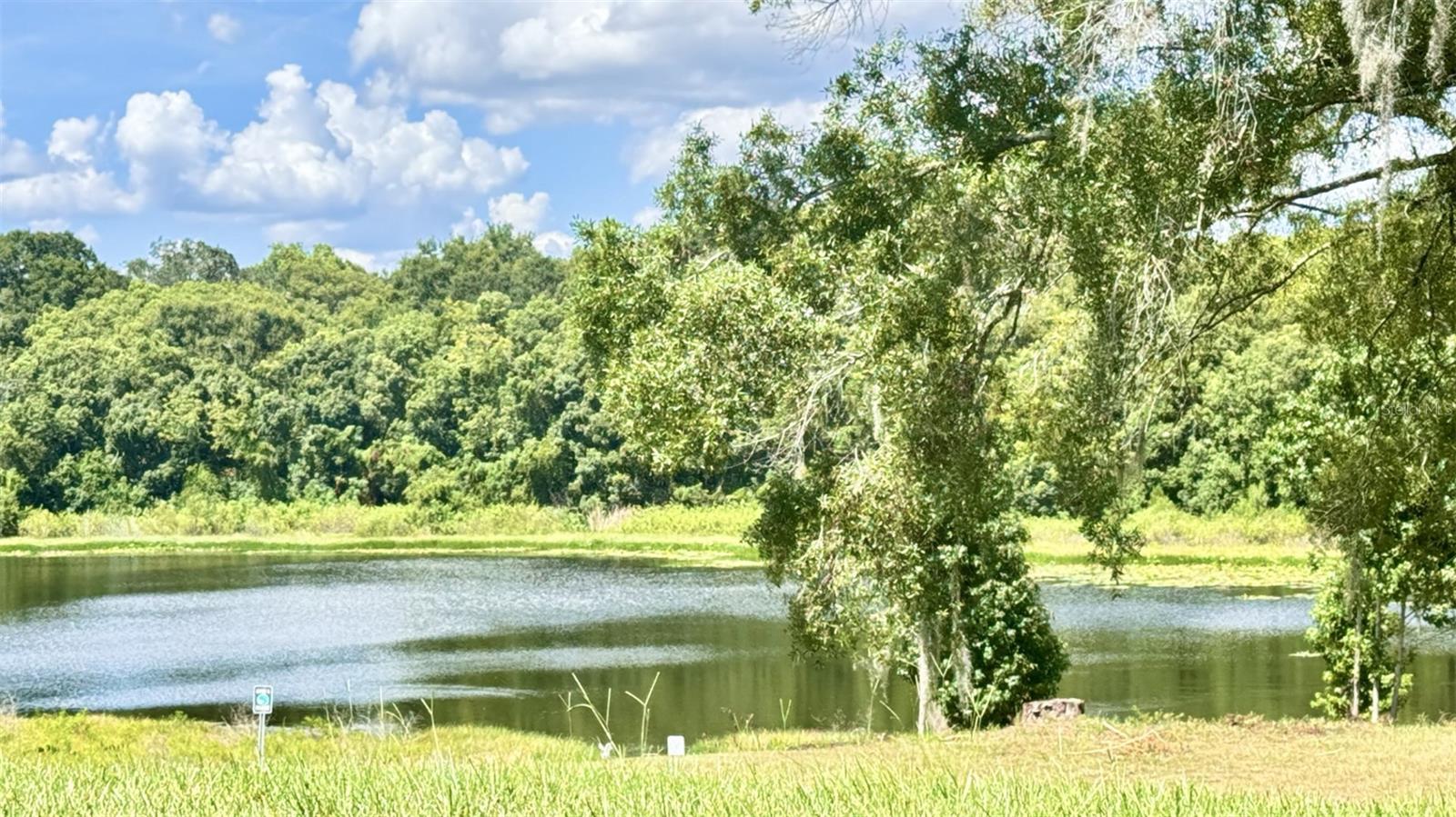 BANBURY VILLAGE CONDO - Residential