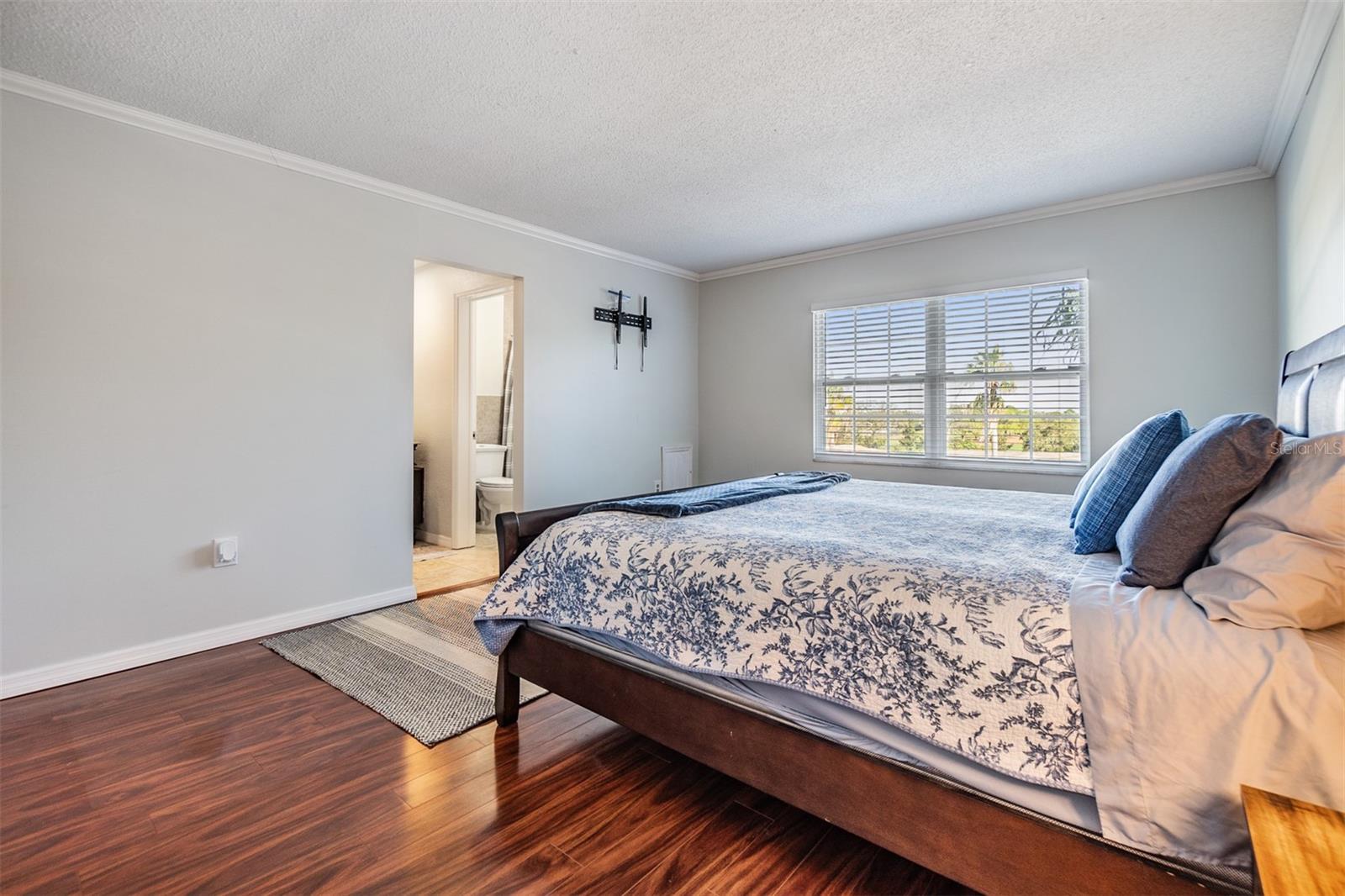 BELLEAIR FOREST - Residential