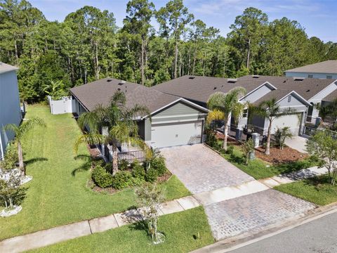 280 CARYOTA COURT NEW SMYRNA BEACH FL 32168