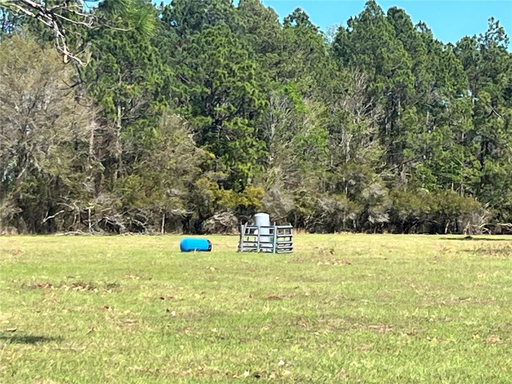 Photo of 14182 SW 161st St, Brooker, FL 32622 (MLS # GC538775)