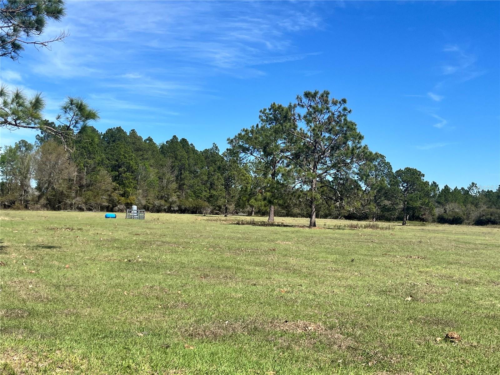 METES AND BOUNDS - Residential