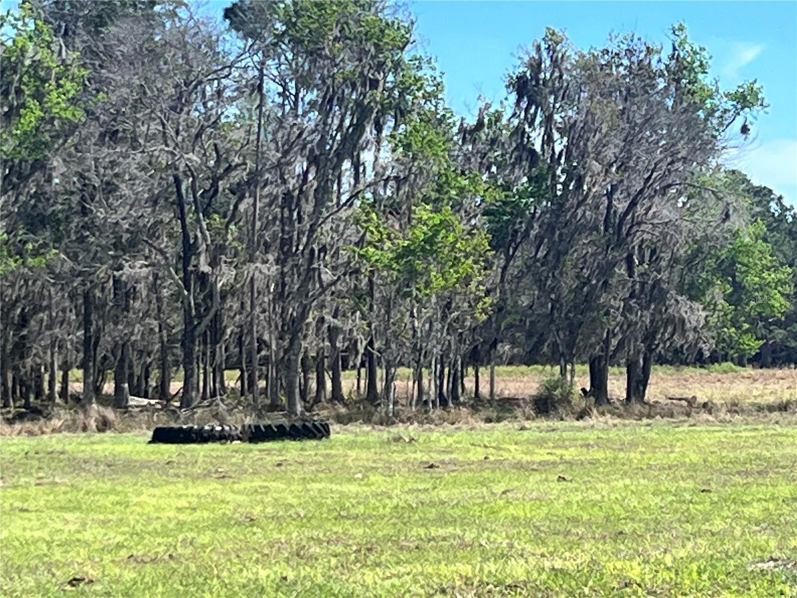 METES AND BOUNDS - Residential