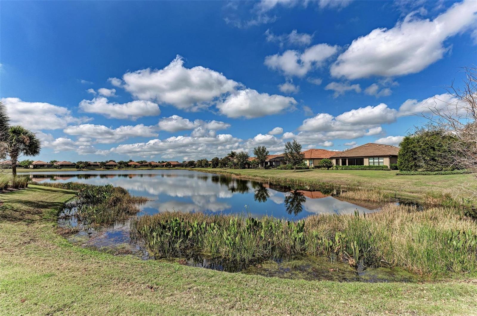 BACCIAO I AT ESPLANADE LAKEWOOD RANCH - Residential Lease