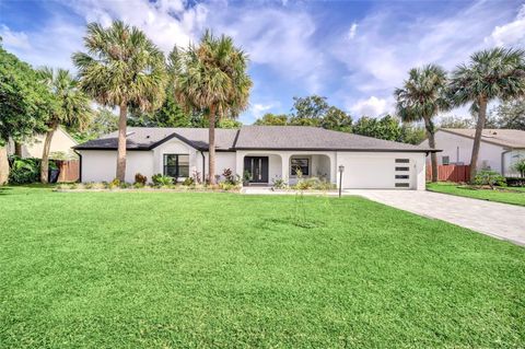 A home in ORLANDO