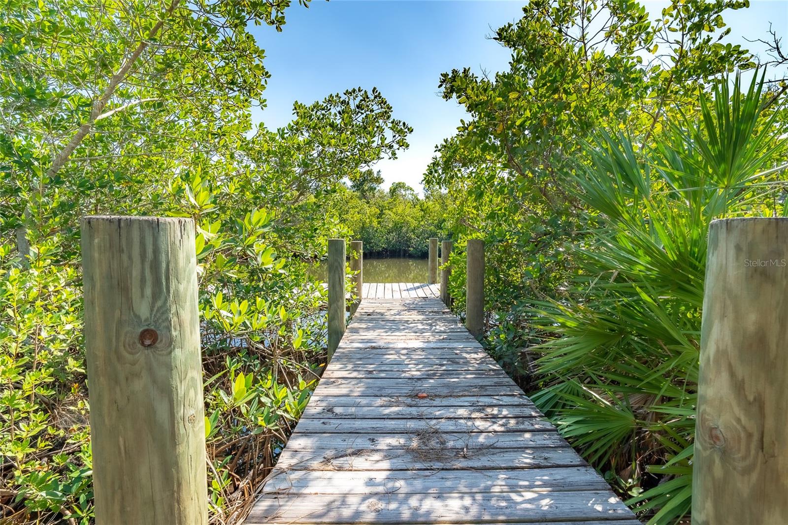 HIDDEN WATERS - Land