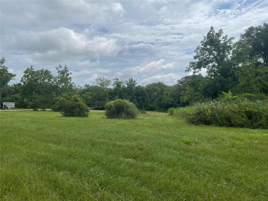 Here's your opportunity to own a true piece of Old Florida.  This 13 ACRE property used to have orange groves and lush gardens.  Old homestead is no longer habitable but will give you paid impact fees and power on site.  The land has a nice roll to it with large oaks, cedar, and river breezes.  It is currently in the County but could be annexed into the city of Oak Hill.  Many different ways to use this beautiful property.  Sign on the corner of Brooks Circle and Beaverbrook Ln.