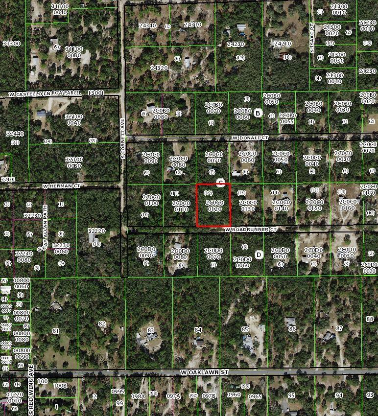 4385 W ROADRUNNER COURT