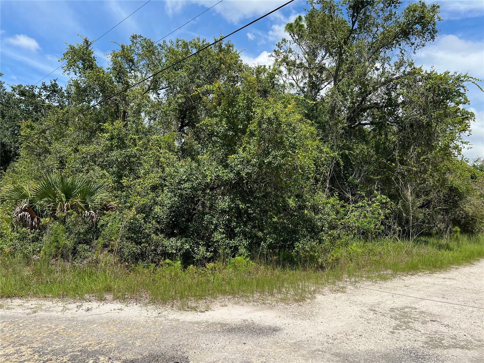 Unimproved .35 lot Moon Lake Estates. This lot is at the beginning of a no-through street. Zoned agricultural. Corner lot. Close proximity to SR-52 and the Suncoast Parkway. Bring your builder and build your dream home!