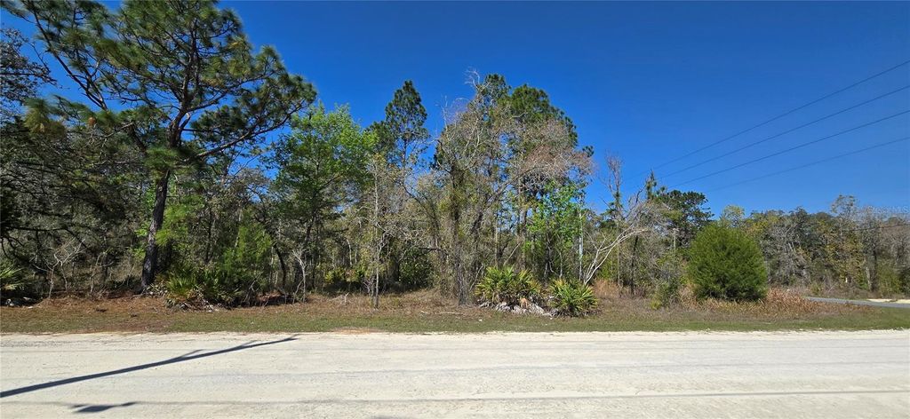 Photo of 12398 Ruffed Grouse Road, Weeki Wachee, FL 34614 (MLS # W7885005)