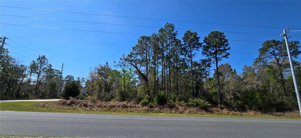 Photo of 12398 Ruffed Grouse Road, Weeki Wachee, FL 34614 (MLS # W7885005)