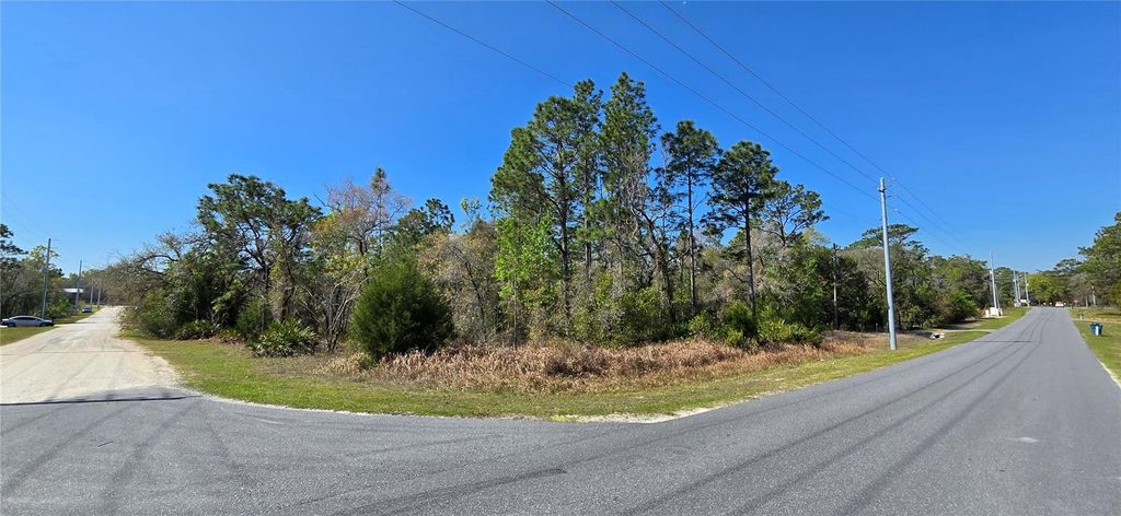 Photo of 12398 Ruffed Grouse Road, Weeki Wachee, FL 34614 (MLS # W7885005)