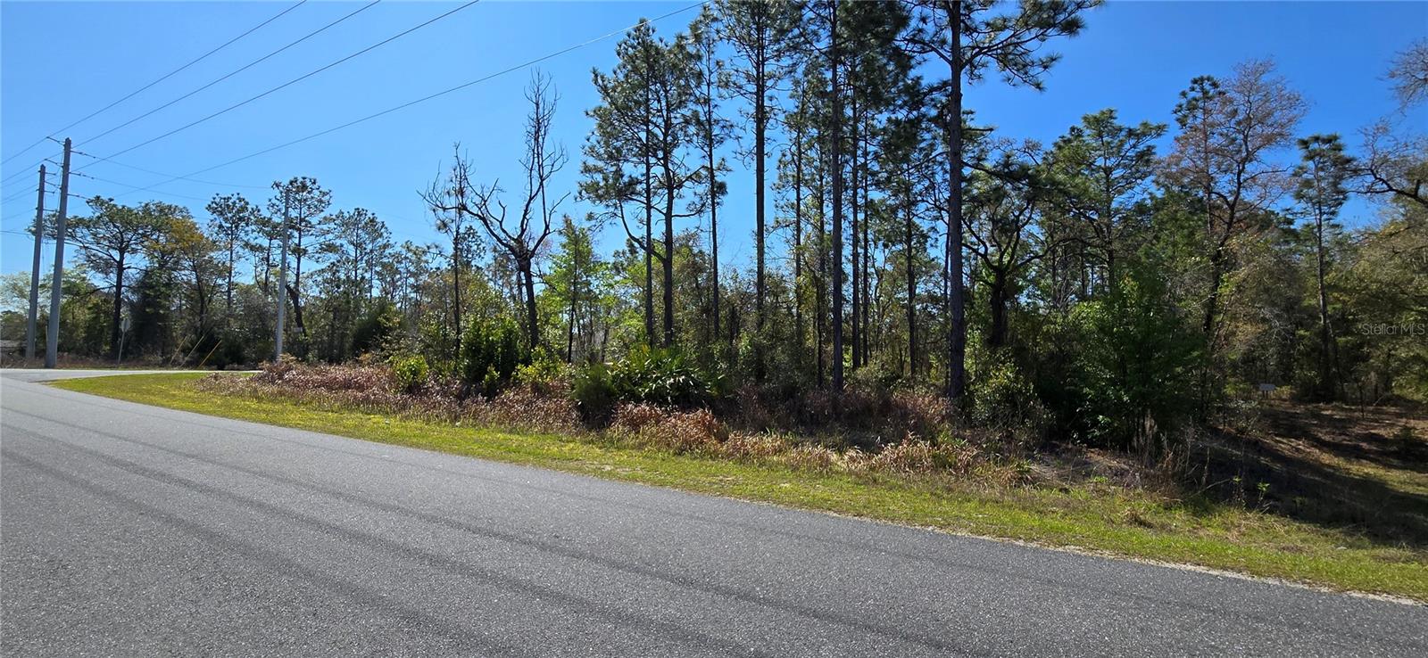 12398 RUFFED GROUSE ROAD