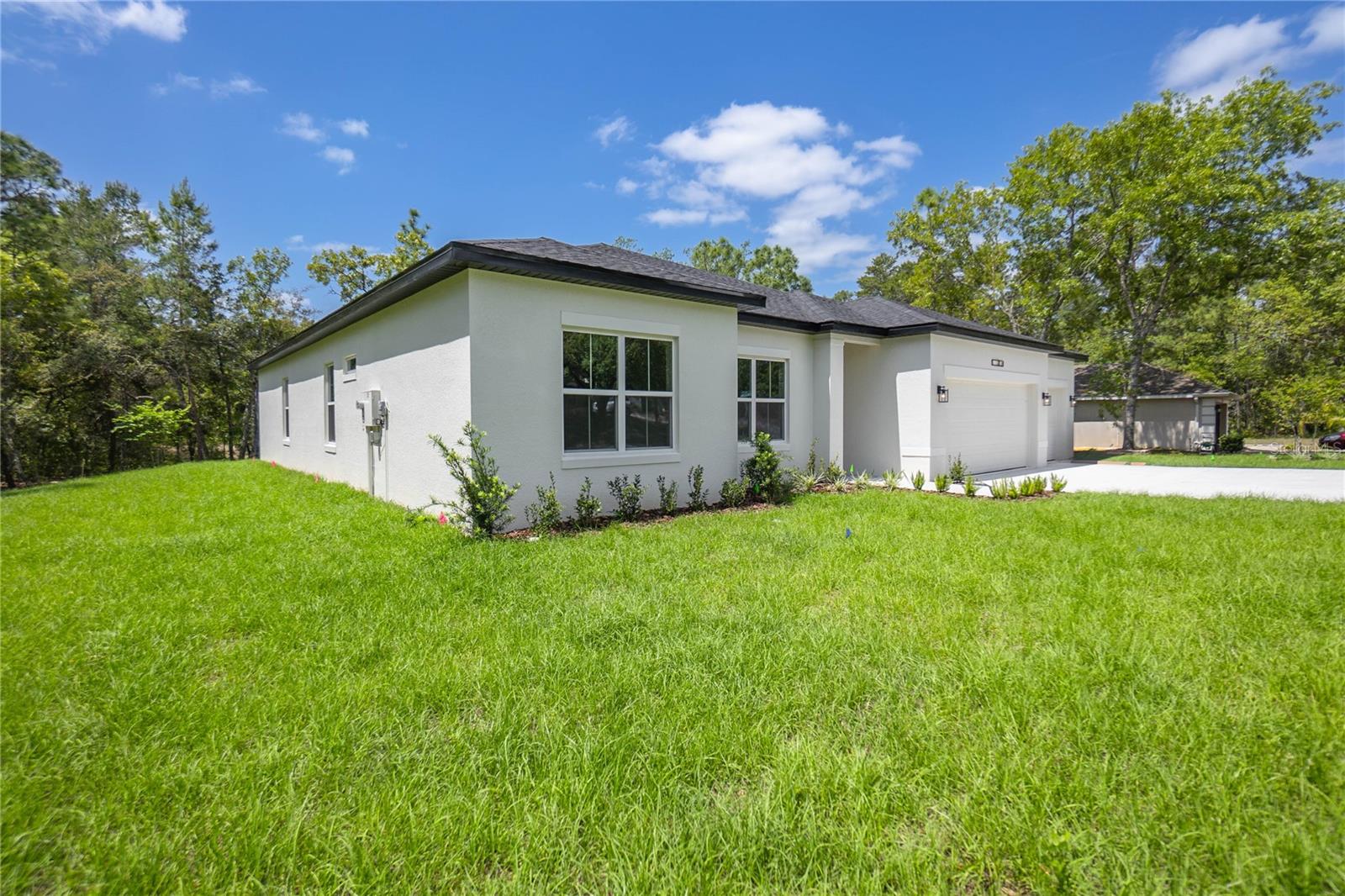 13 BLACK WILLOW STREET