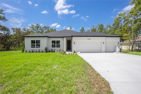 13 BLACK WILLOW STREET HOMOSASSA FL 34446