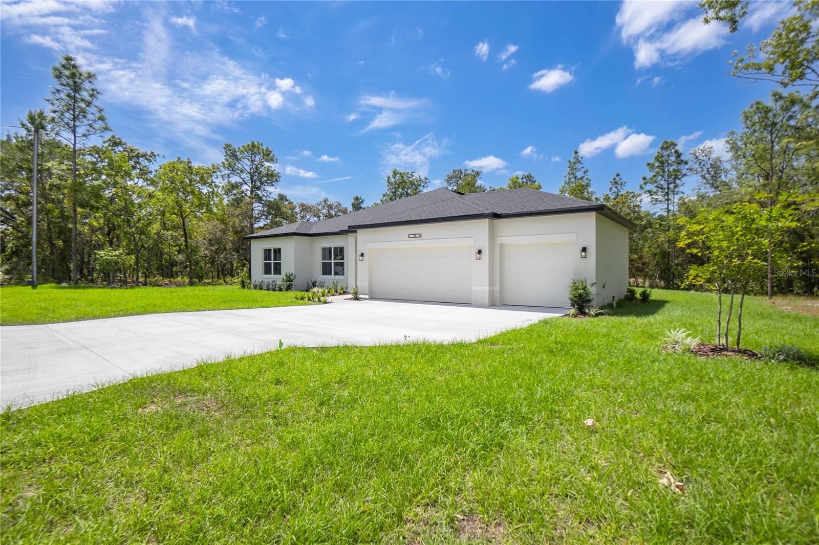 13 BLACK WILLOW STREET