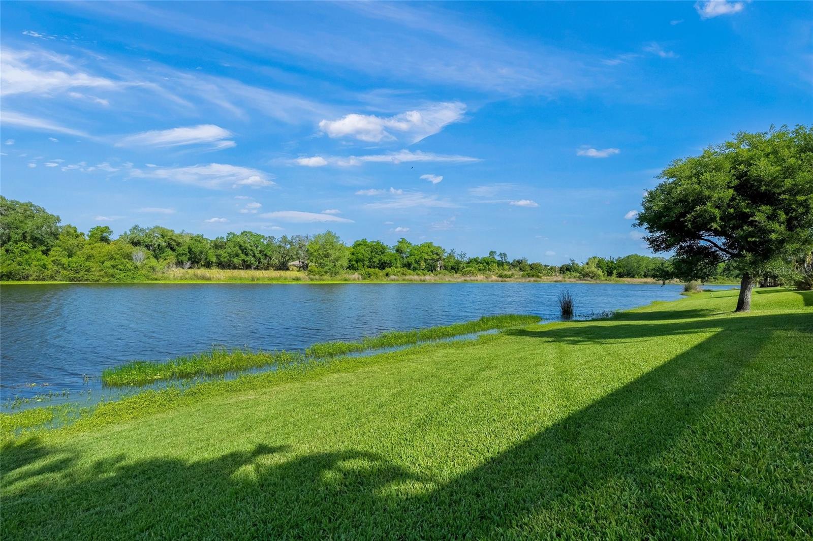 BARTON FARMS - Residential