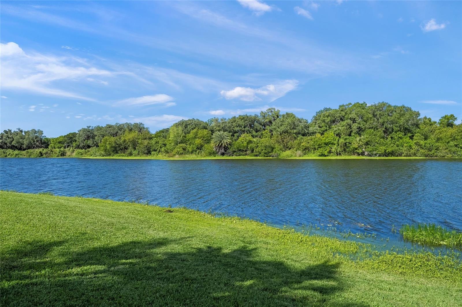 BARTON FARMS - Residential
