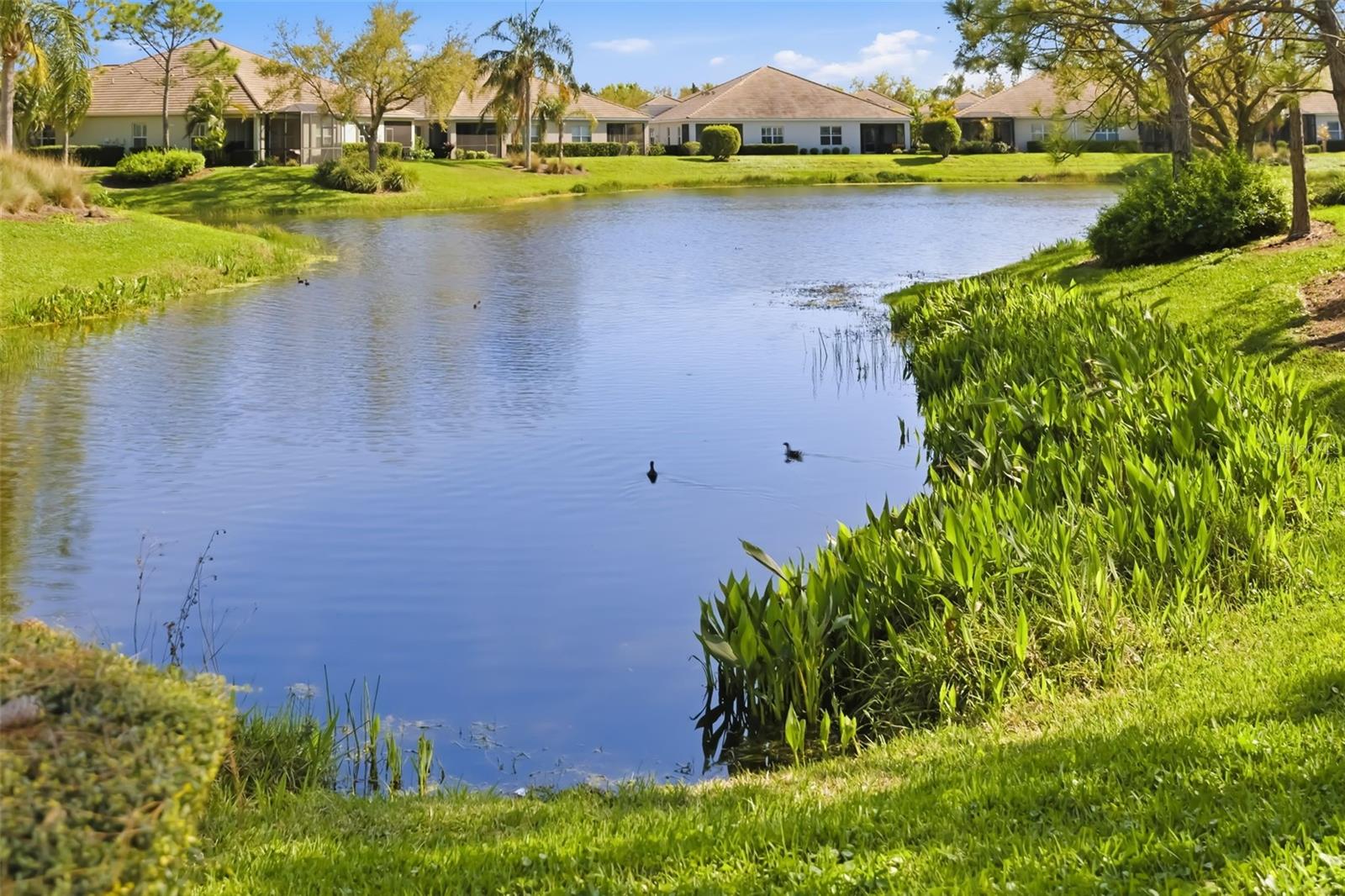 FAIRFIELD - Residential