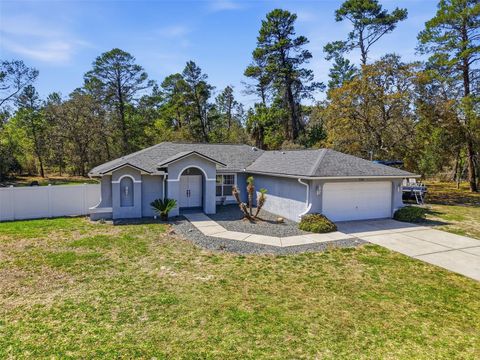 Photo of 7221 Nightwalker Road, Weeki Wachee, FL 34613 (MLS # W7884350)