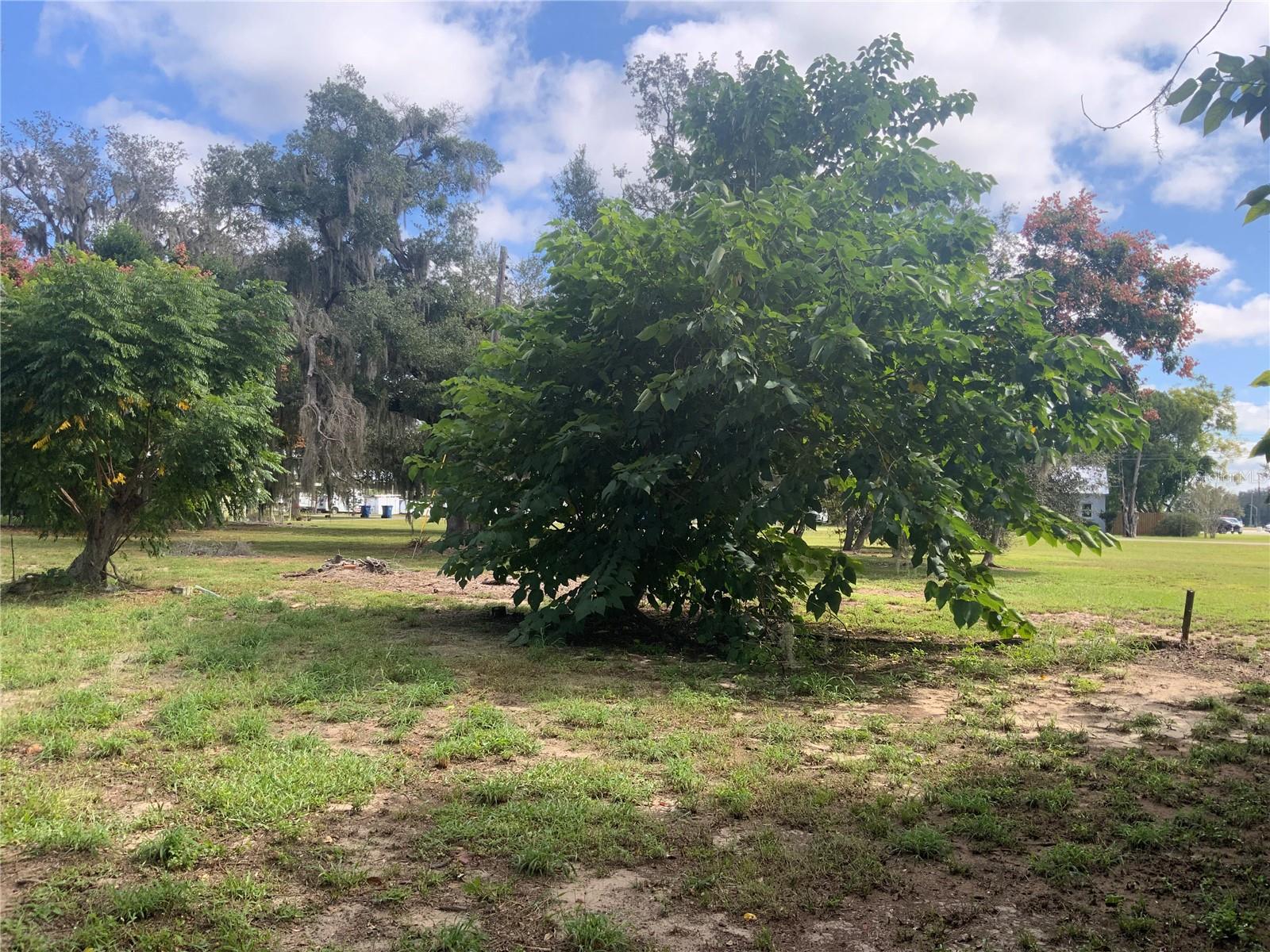 116 V MATT WILLIAMS BOULEVARD