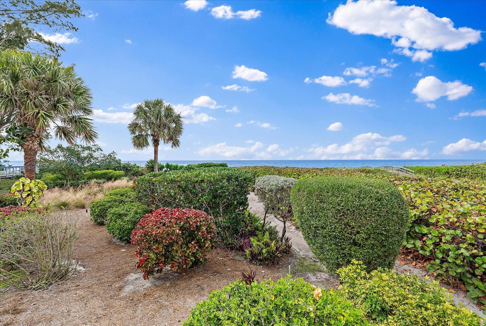 SALTY ACRES - Residential Lease